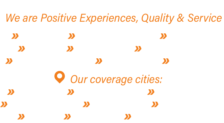 Professional roadside assistance services